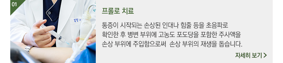 프롤로 치료